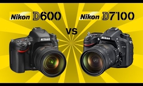 Nikon D7100 vs Nikon D600